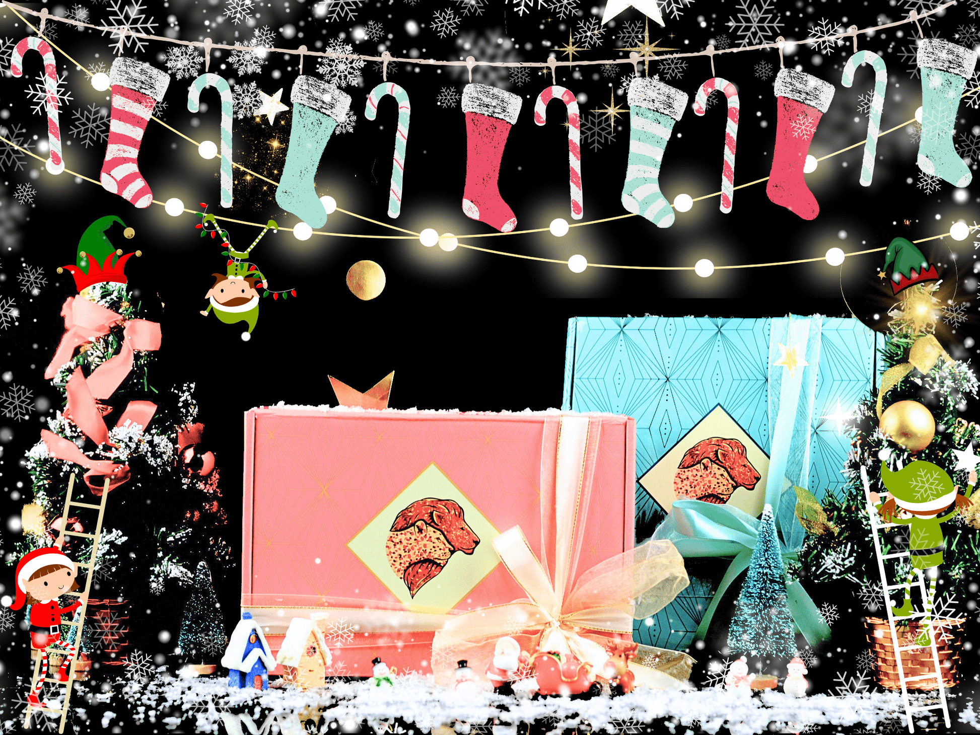 Box Of Protein | Elfster Secret Santa Gym Gift Hampers | Christmas Protein Gift Box 