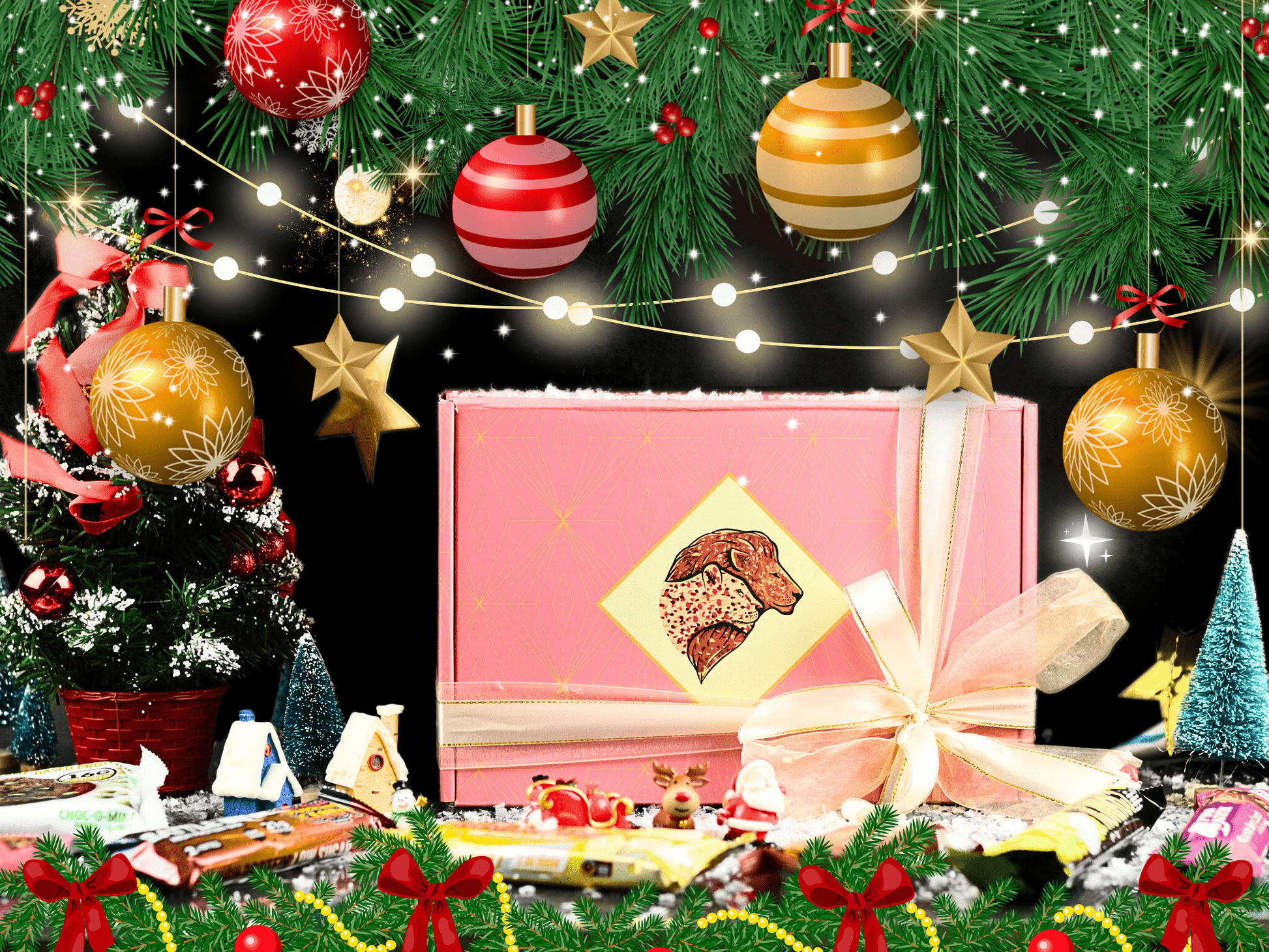 Box Of Protein | Secret Santa Gift Box | Christmas Eve Box | ELFSTER Gifts | Mystery Gift Box